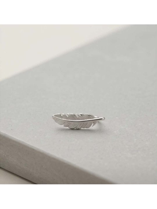 Plume argent